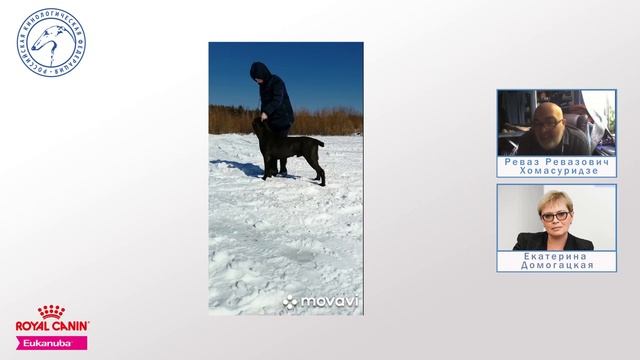«Момент истины с Ревазом Хомасуридзе: вебинар-практикум с открытыми описаниями» смотреть онлайн