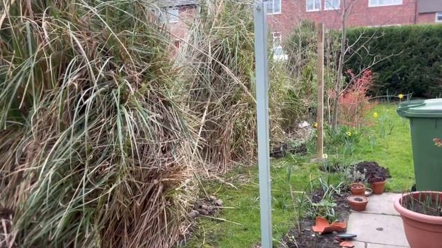How to Plant A Bare Root Rose | David Austin Rose - UNBOXING The Pilgrim смотреть онлайн