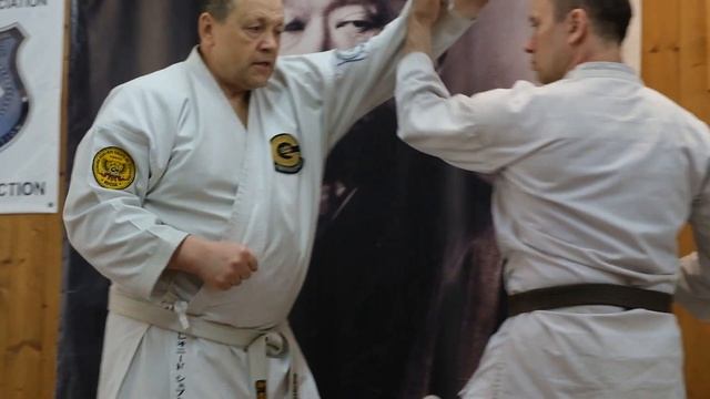 BUDO ACADEMY 50 SHEPKIN LEONID 7 DAN GOJU RYU смотреть онлайн