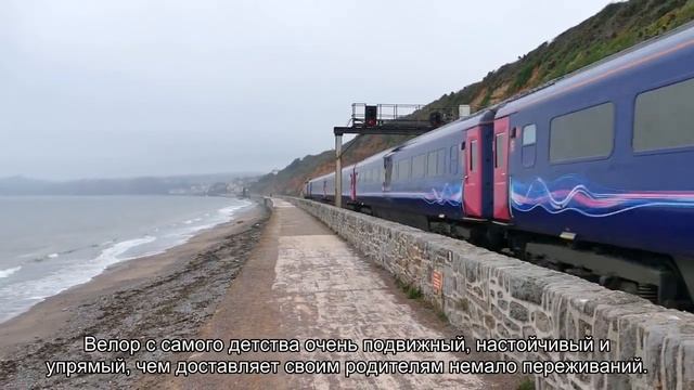 Значение имени Велор. Толкование, судьба, характер смотреть онлайн