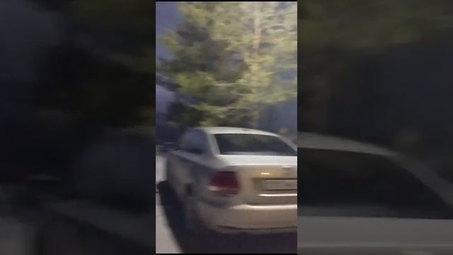 природа и человек 88 туман в городе 1 смотреть онлайн