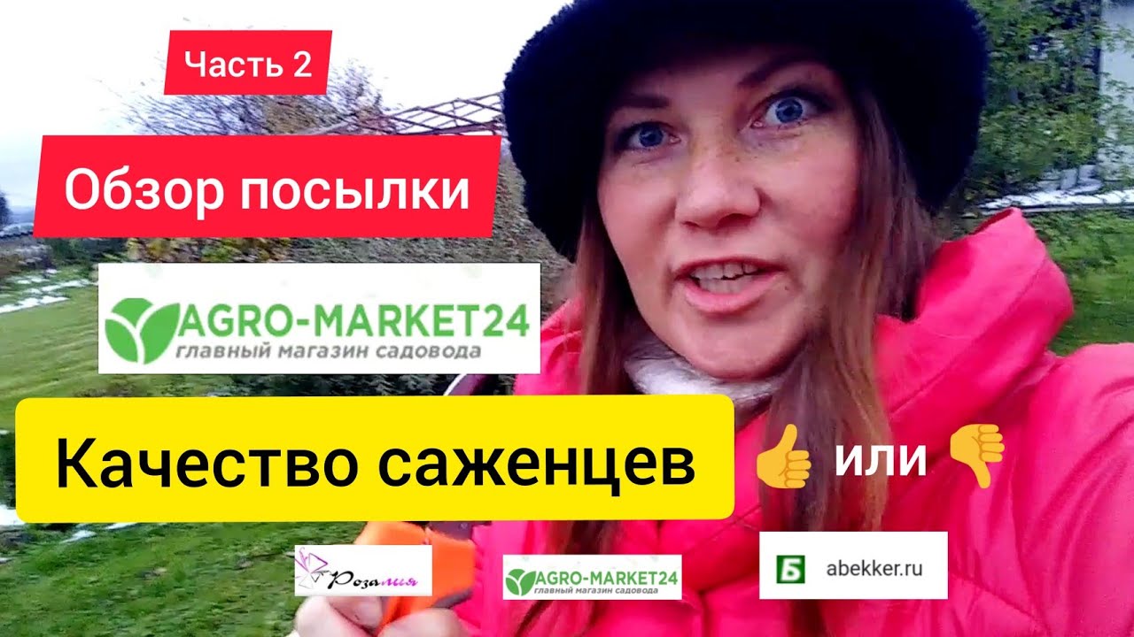 Агромаркет \ Саженцы через интернет