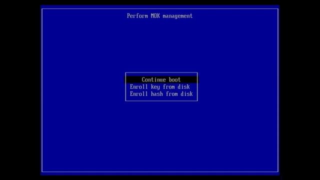 Verification Faild Access Denied Ventoy Bootable USB Drive Issue ( Ventoy Bootable USB Not working смотреть онлайн