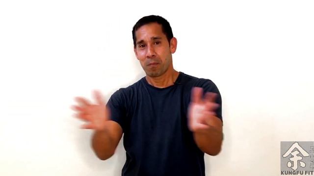 Real Kung Fu Training - Conditioning Drills | Toughen up your body смотреть онлайн