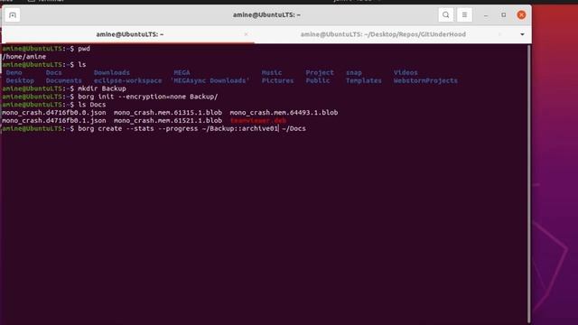 How to backup files and folders using Borg backup command in Linux смотреть онлайн