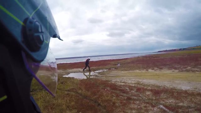 Adventure вокруг лимана смотреть онлайн