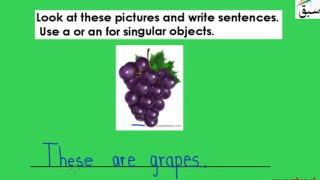 Look at Picture & Write This/These Sentences (look/write), English Lecture | Sabaq.pk смотреть онлайн