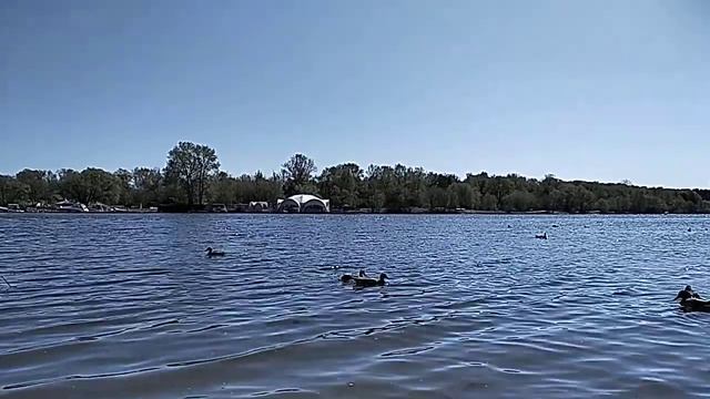 Вода. Природа. Утки (замедленная съемка). Часть 2. смотреть онлайн