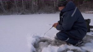 Ротан на самодельную блесну