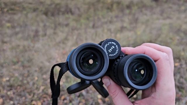 Краткий обзор топового бинокля VectorOptics Continental Plus 8x42 ED