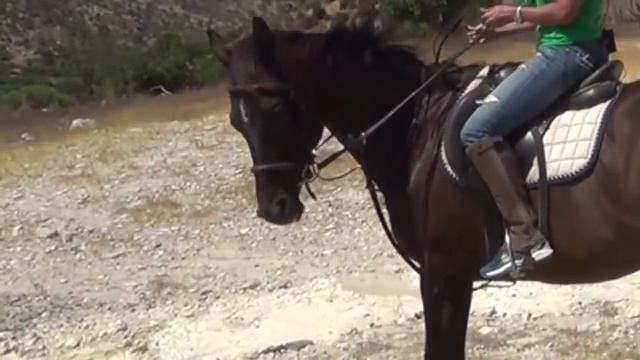 Как удержать мужчину? Стоит ли женщине бороться за своего мужчину? смотреть онлайн