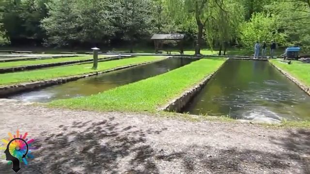 Разведение раков в домашних условиях видео смотреть онлайн