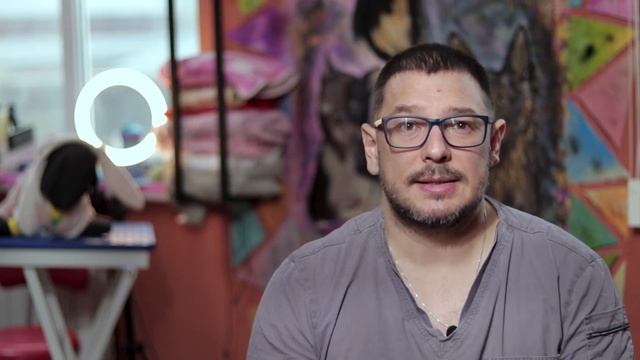 Ты НЕПРАВИЛЬНО моешь свою собаку! КУПАНИЕ СОБАК - Советы ветеринара смотреть онлайн