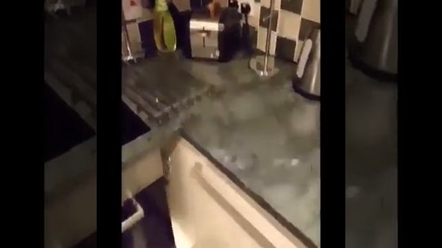 СМЕШНЫЕ ЖИВОТНЫЕ ПАДЕНИЯ ОПЛОШНОСТИ ЖИВОТНЫХ смотреть онлайн