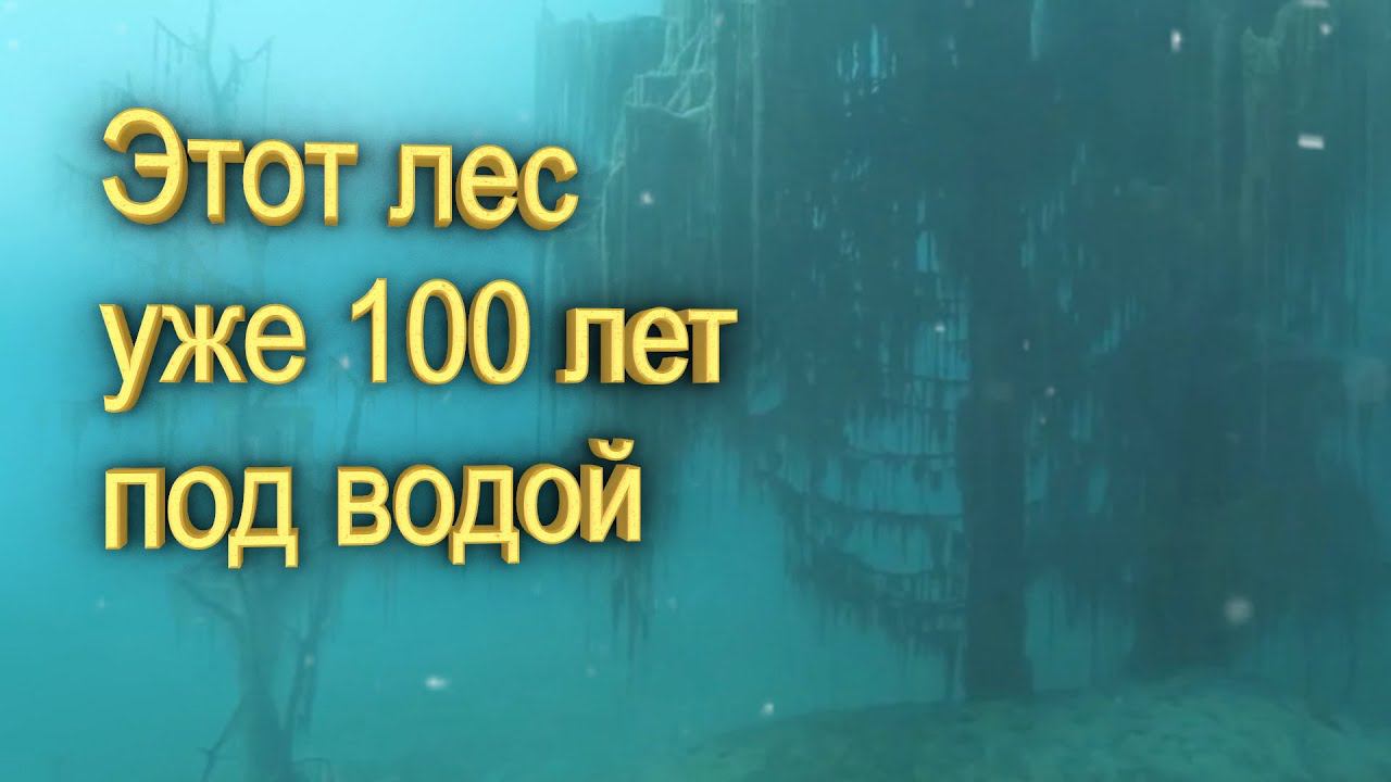 В этом месте 100 лет назад лес ушел под воду - озеро Каинды смотреть онлайн