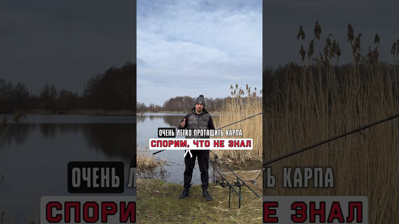 Как протащить САЗАНА через траву #карпфишинг смотреть онлайн