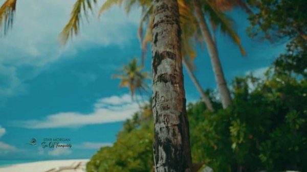 SEA OF TRANQUILITY - Stive Morgan