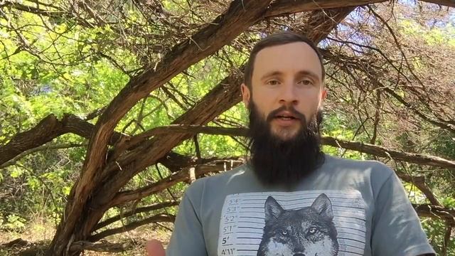 Шокирующее и неожиданное последствие перехода на сыроедение смотреть онлайн