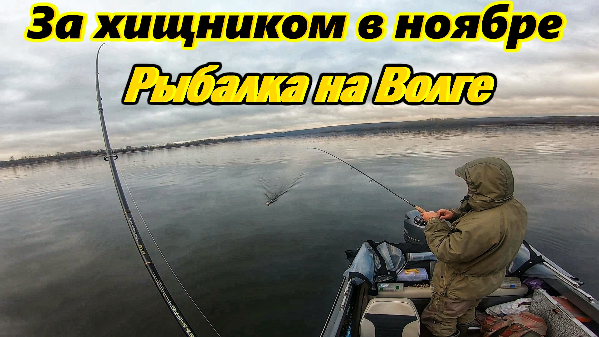 РЫБАЛКА В НОЯБРЕ НА ВОЛГЕ/ЛОВЛЯ ХИЩНИКА/СУДАК И ЩУКА НА ДЖИГ/БЁРШ НА ТЮЛЬКУ/ИЩЁМ РЫБУ ЭХОЛОТОМ смотреть онлайн