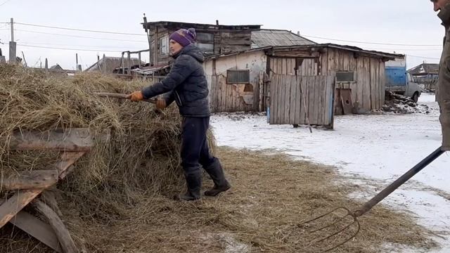 ЛПХ , в чем секрет успеха ? смотреть онлайн