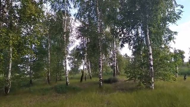 15 июля-ДЕНЬ БОЖИЕЙ МАТЕРИ.БЕРЕГИНЯ.Не нарушайте один запрет. смотреть онлайн