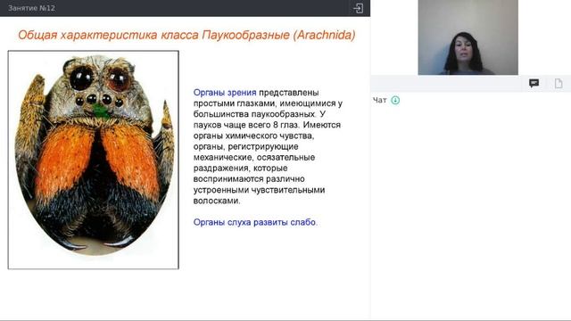 Онлайн-школа СПбГУ 2021/2022. 8 класс. Биология. 08.01.2022 смотреть онлайн