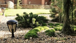 ?Идеи озеленения и благоустройства на садовом участке / Examples of a beautiful garden / A - Video