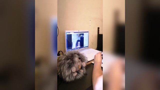 Дистанционное обучение дошкольников. ГБОУ Школа 2006 ОП 