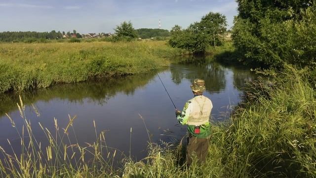 Река Шерна, Россия. По высокой воде и неактивному хищнику. Щука, окунь. 2017/07 смотреть онлайн