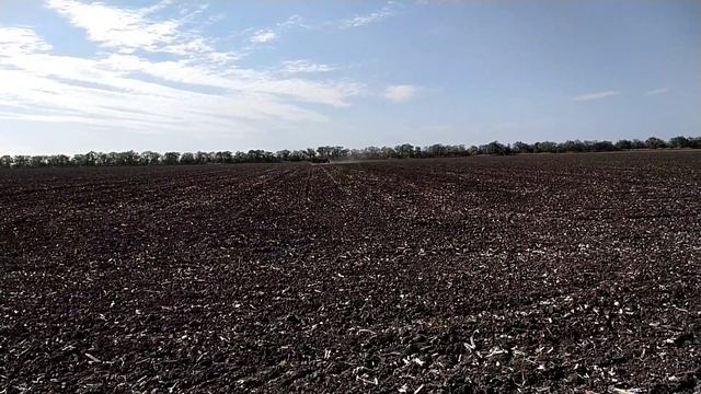 Посев озимый Ячмень сорт ,, Базальт,, семена на будущий год смотреть онлайн