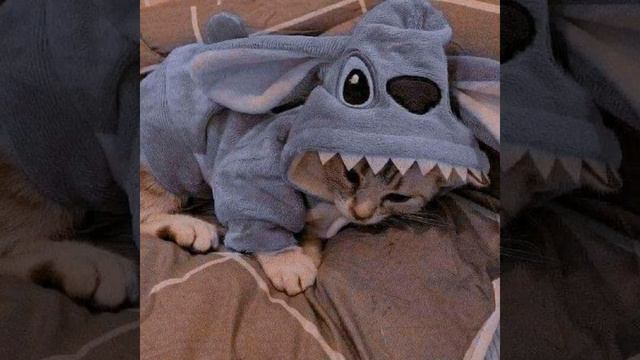 Pussykiller - Силуэт (Speed up) смотреть онлайн