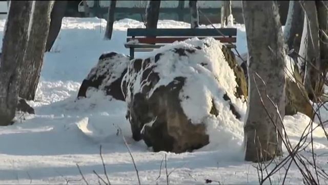 Петропавловск-Камчаский 24 ноября.flv смотреть онлайн