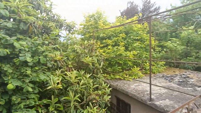 #недвижимость#абхазия#инвестиции#бизнес#купитьдом#деньги#горы#море#сочи#срочнаяпродажа#новоевидео