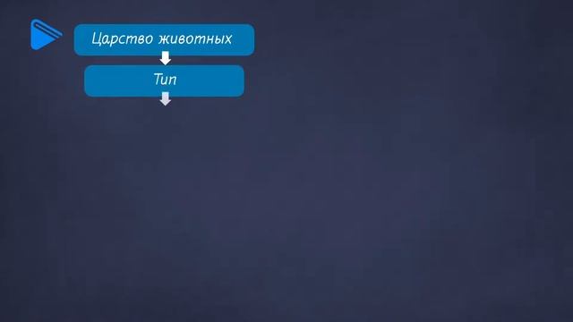 7 класс - Биология - Что изучает зоология смотреть онлайн