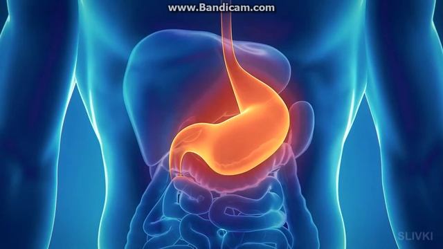 чем помогает лимон человеку смотреть онлайн