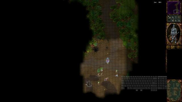 Rage of Mages 2 Online - Raptors Valley - Easy Guide смотреть онлайн