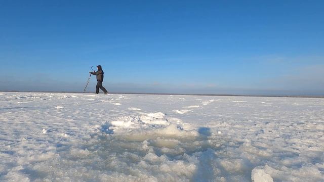 Ловля крупного окуня на балансиры! Окунь в Коряжнике! Первая Рыбалка 2022! смотреть онлайн