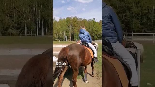 Устин в поле с конём. #shorts смотреть онлайн