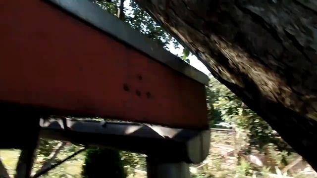 Чрезвычайное Проишествие дачного масштаба и устранение его последствий смотреть онлайн