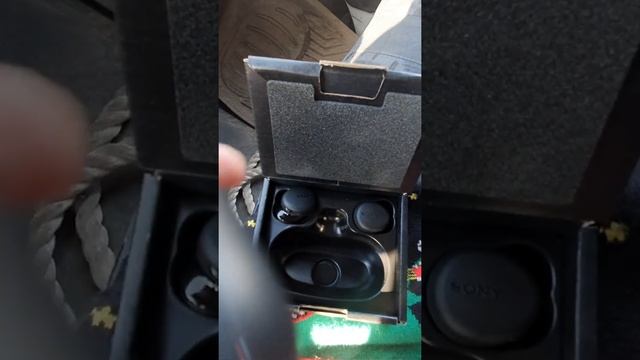 Видео обзор: наушники Sony WF-XB700/BZ смотреть онлайн