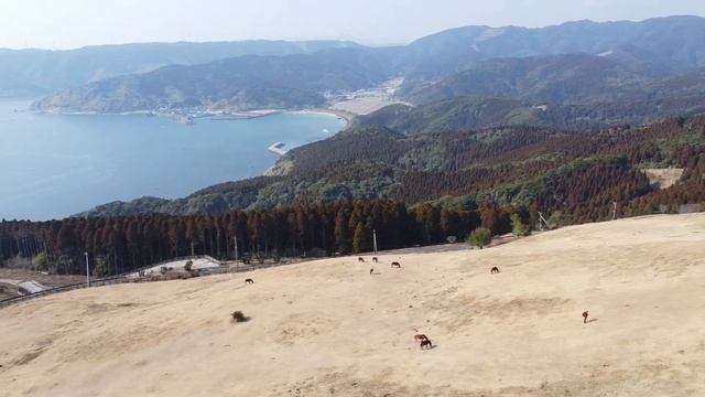 九州バイク旅 6日目 宮崎観光編 都井岬、道の駅なんごう、道の駅フェニックス、文化ストリートほか смотреть онлайн