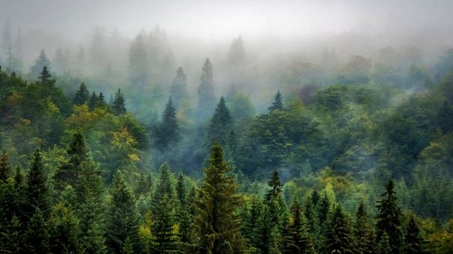 Релаксация с голосом ? Расслабляющий рассказ. Аутотренинг для успокоения нервной системы. Медитация смотреть онлайн