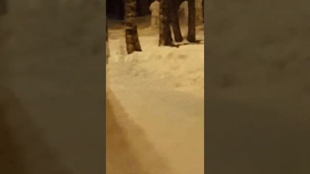 Как закаляются маленькие каратисты. смотреть онлайн
