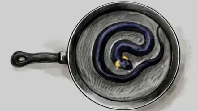 ✅ Как уж на сковородке / мошенники звонят по телефону смотреть онлайн