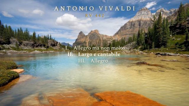 Antonio Vivaldi - Concierto para Flauta de pico en Fa mayor RV 442 смотреть онлайн
