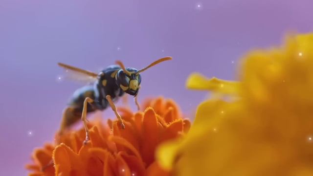 Утренний дуа защитить вас вес день أذكار الصباح каждое утро #dua #zikr #zikir #дуа #дуо #дуолар