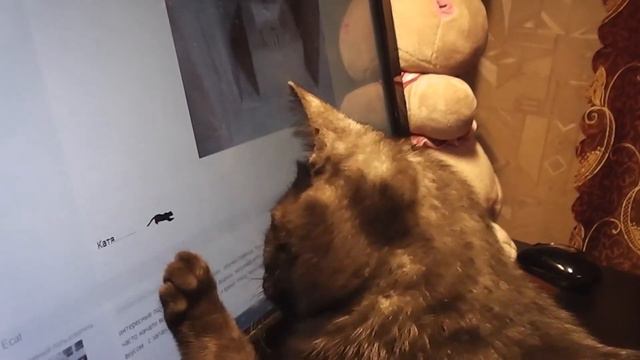 Атака на пантер смотреть онлайн