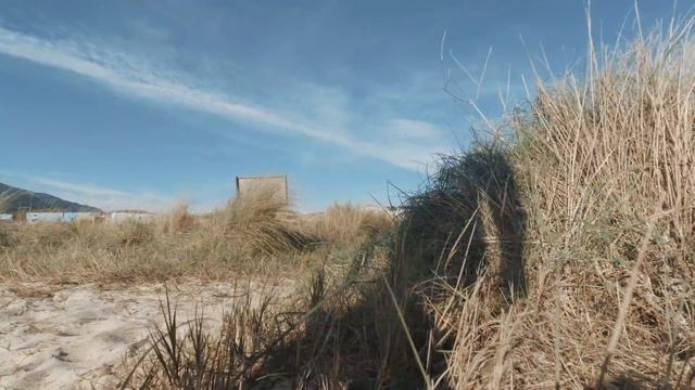 VANLIFE Realität hinter Social Media Versprechen. смотреть онлайн