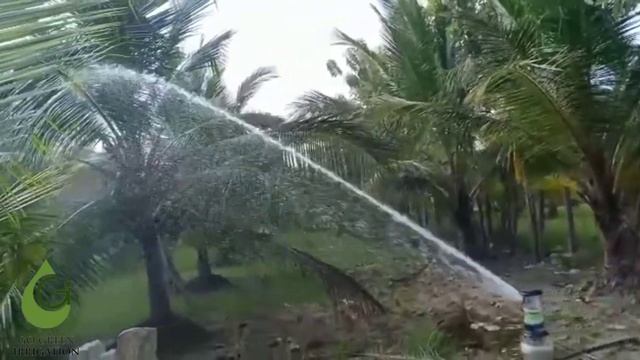 Sprinklers for Farm irrigation смотреть онлайн