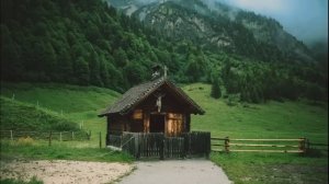 ? ЛЮБОВЬ ПОКОРЯЕТ БЕЗ ЖЕСТОКОСТИ? Христианские рассказы. Истории из жизни. Для широкого круга.